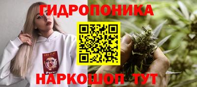 соль ск Обь