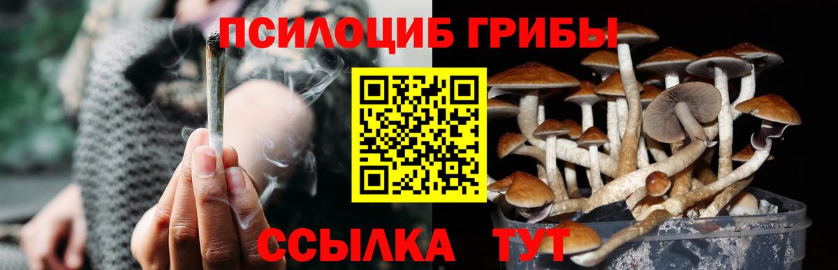 Галлюциногенные грибы Psilocybine cubensis  Вход с VPN  где купить   Реутов 